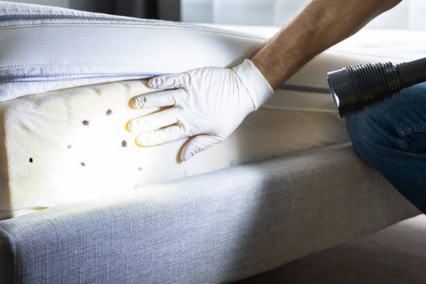 Best Exterminator Services  in Ellington, MO