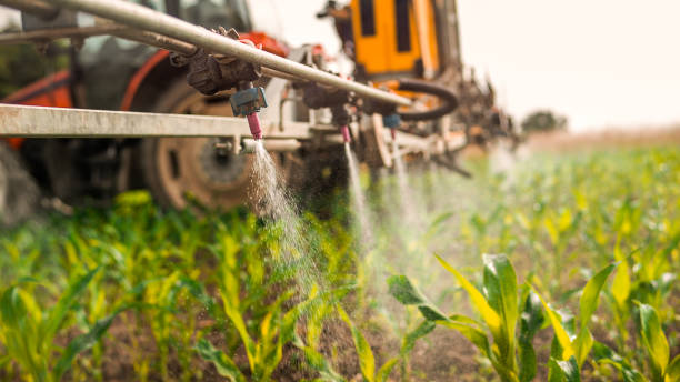 Best Ant Control Services  in Ellington, MO
